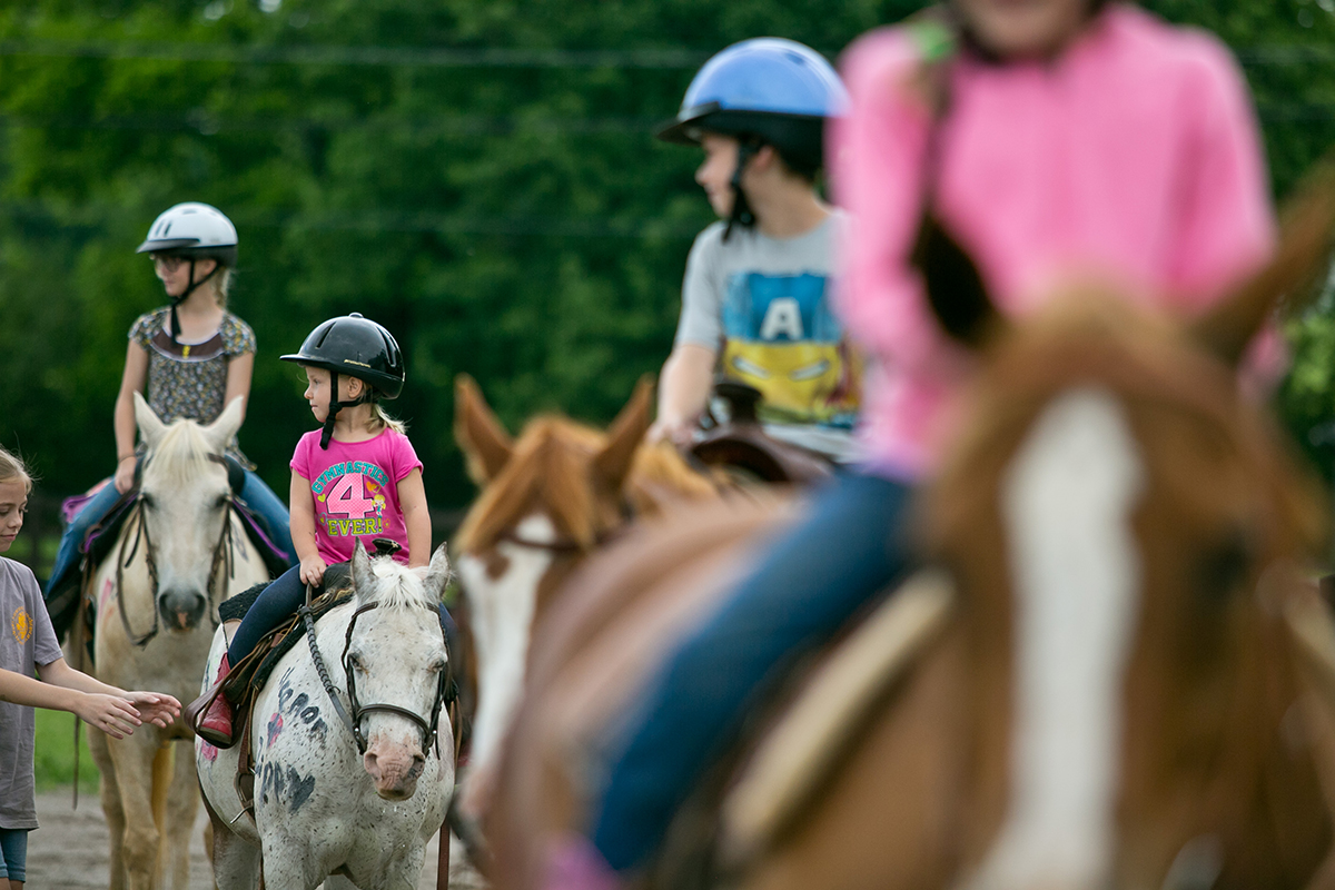 Horse Camp - Innisfree Farm TN